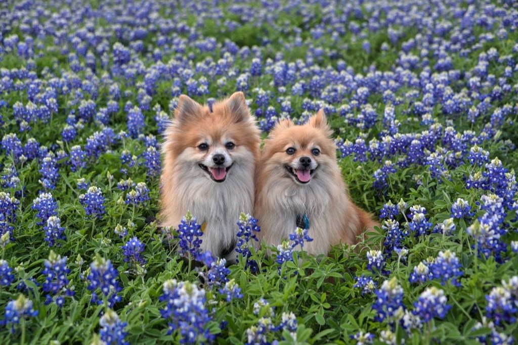 Celebrating Fragrances, Scents and Aromas: 50&nbsp;Favorites